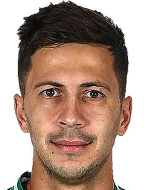 https://img.shrzjg.com/img/football/player/a7521cae3d55835286cc258209d1ffee.png